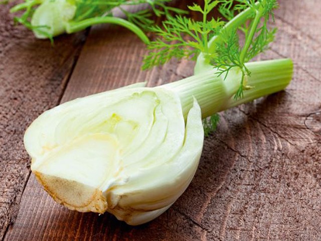 ΣΑΛΤΣΑ φινόκιο